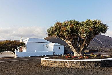 明晚EA直播《EA SPORTS FC 24》公布更多细节