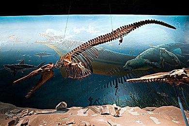 微软将任天堂和PS用户视为Xbox用户的一部分