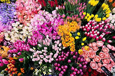 国庆足不出“沪”，照样嗨翻天！来百脑汇超多玩法不重样！